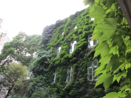 schöner grüner Innenhof sichtbar beim Reingkommen ins Haus